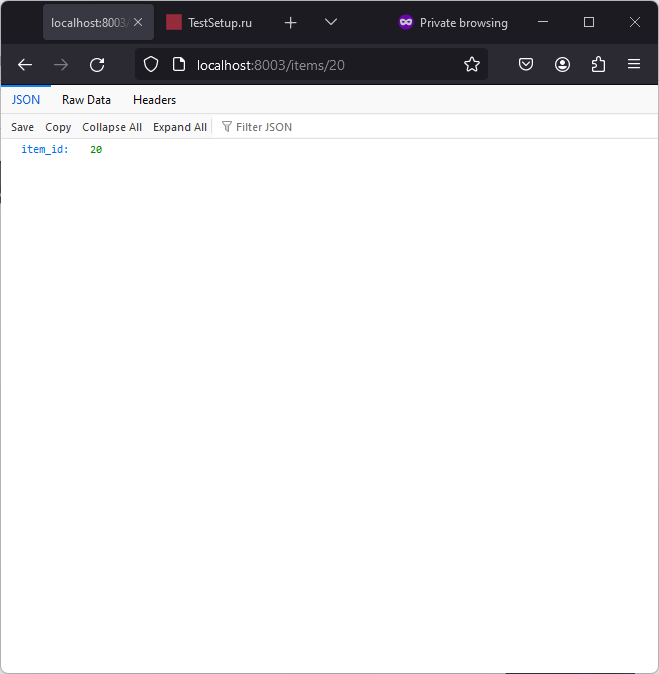 FastAPI item_id изображение с сайта www.devhops.site