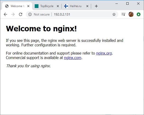 Nginx default www.eth1.ru